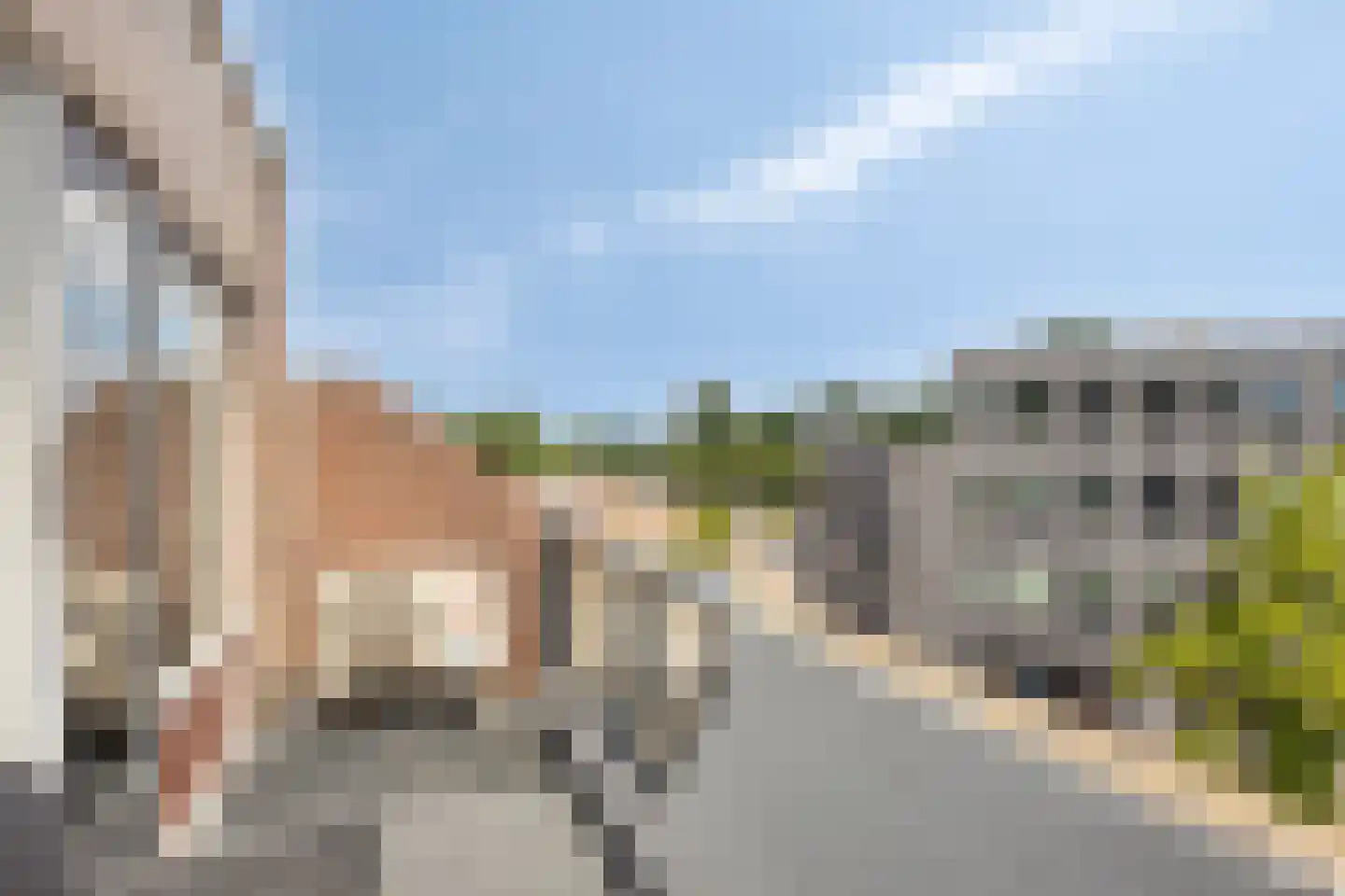 Ratelaar 34 Nieuwegein thumbnail 17