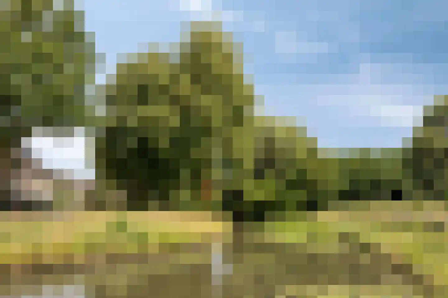 Ratelaar 34 Nieuwegein thumbnail 25