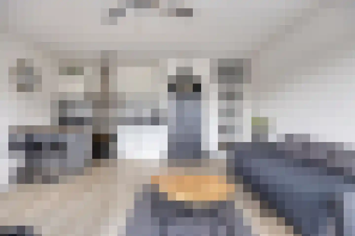 Ratelaar 34 Nieuwegein thumbnail 8