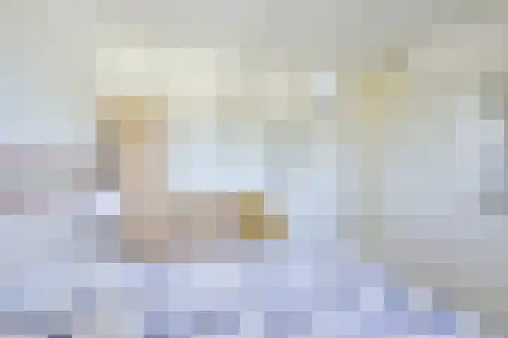 Ratelaar 4 Nieuwegein thumbnail 11
