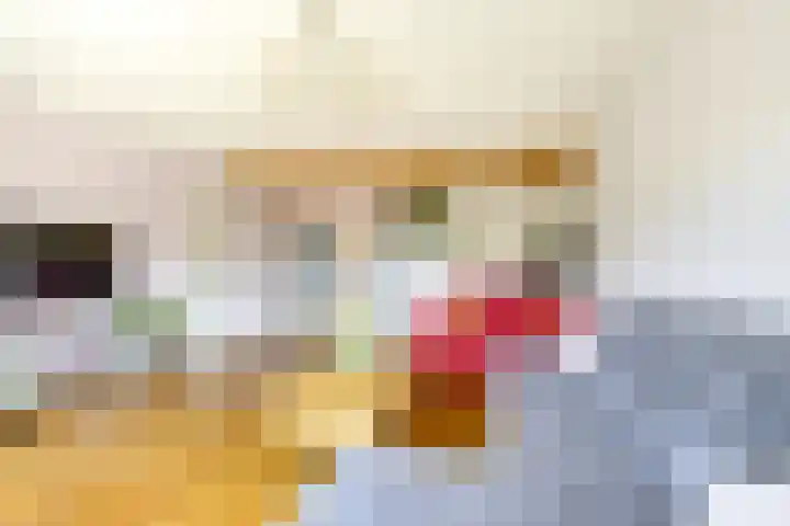 Ratelaar 4 Nieuwegein thumbnail 22