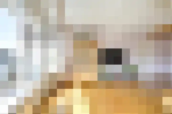 Ratelaar 4 Nieuwegein thumbnail 25