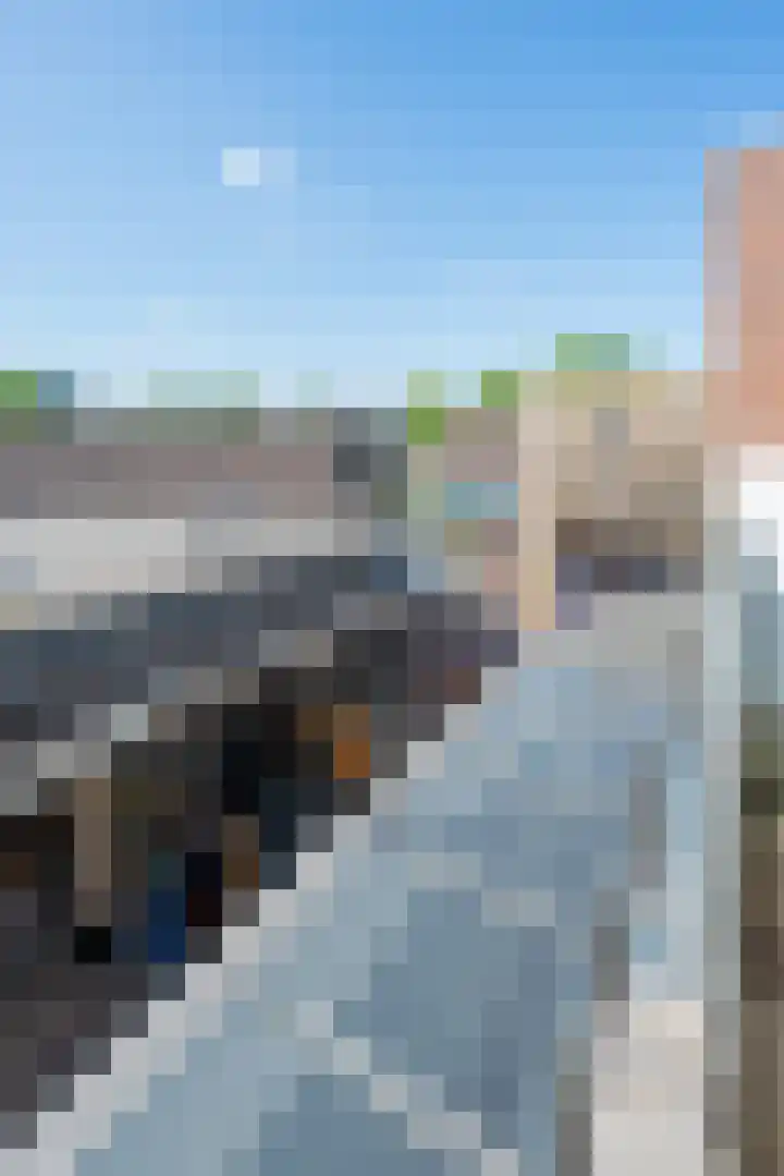 Ratelaar 4 Nieuwegein thumbnail 32