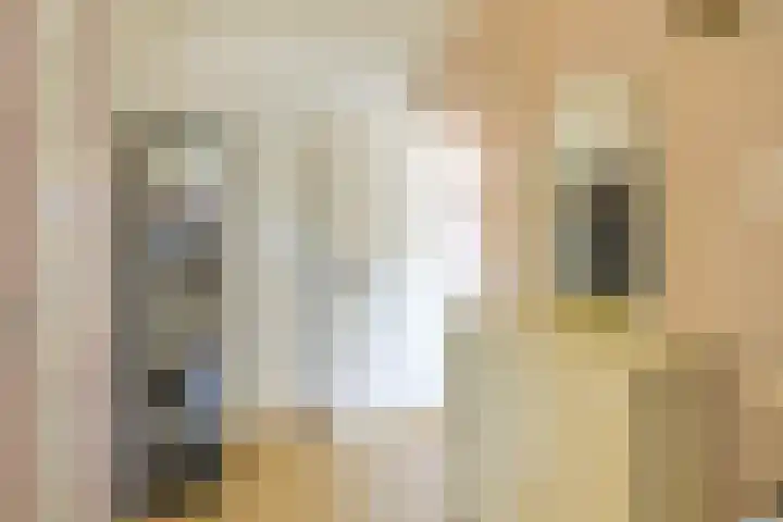 Ratelaar 4 Nieuwegein thumbnail 34