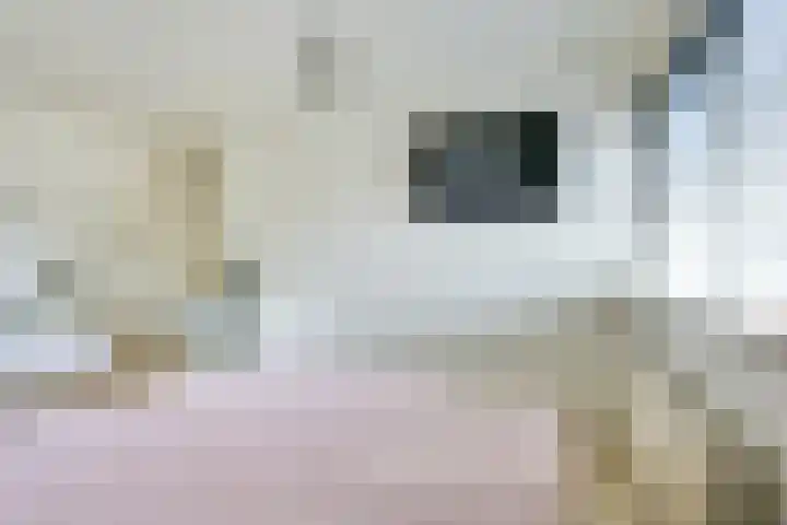 Ratelaar 4 Nieuwegein thumbnail 37