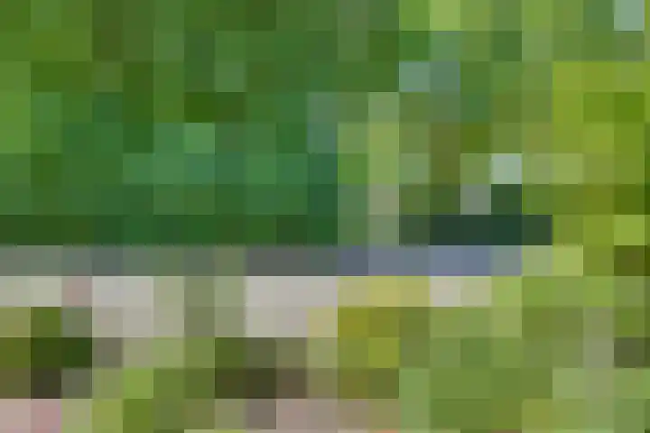 Ratelaar 44 Kampen thumbnail 10