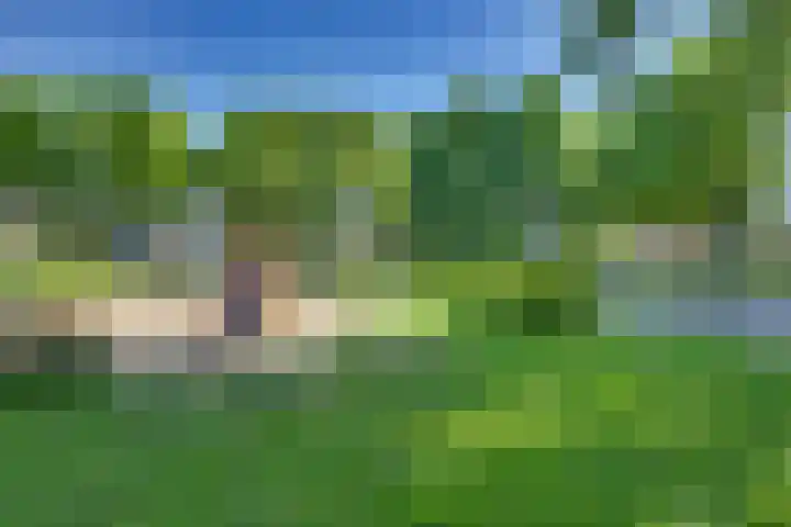 Ratelaar 44 Kampen thumbnail 11