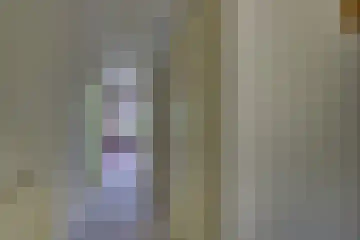 Ratelaar 44 Kampen thumbnail 15
