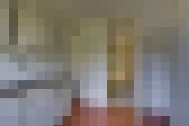 Ratelaar 44 Kampen thumbnail 20