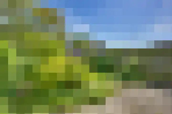 Ratelaar 44 Kampen thumbnail 23