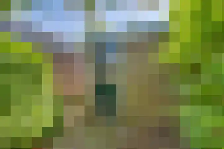 Ratelaar 44 Kampen thumbnail 24