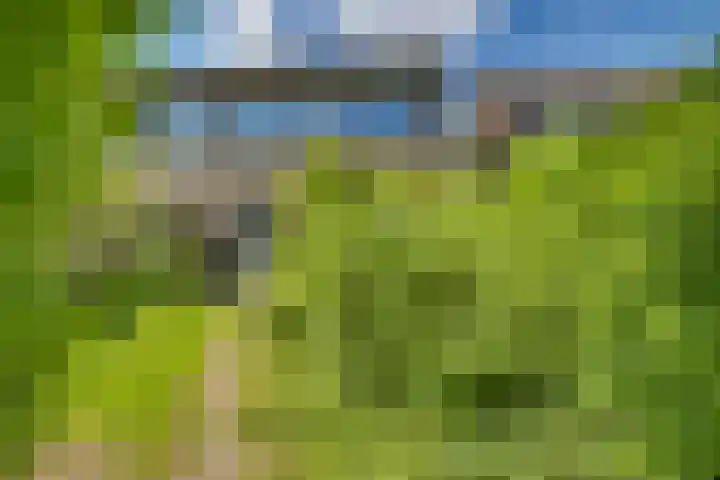 Ratelaar 44 Kampen thumbnail 27