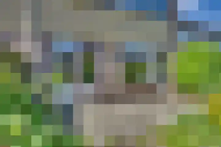 Ratelaar 44 Kampen thumbnail 28