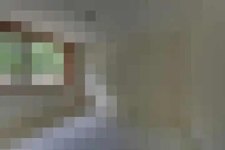 Ratelaar 44 Kampen thumbnail 30