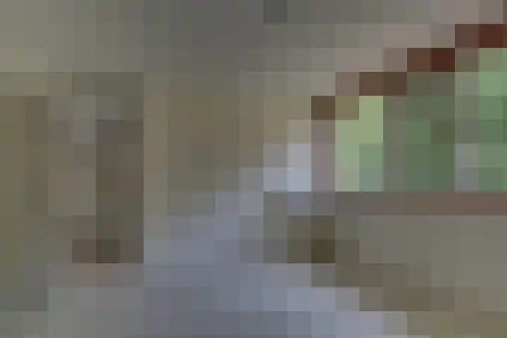 Ratelaar 44 Kampen thumbnail 31