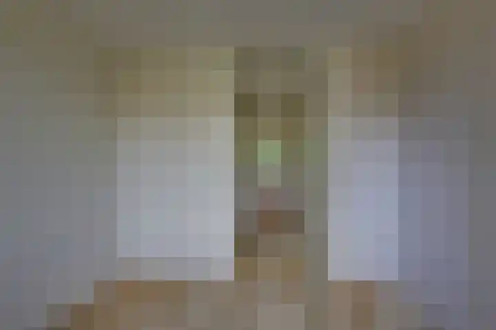 Ratelaar 44 Kampen thumbnail 33