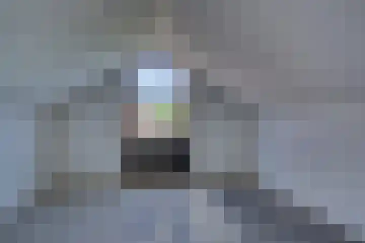 Ratelaar 44 Kampen thumbnail 39