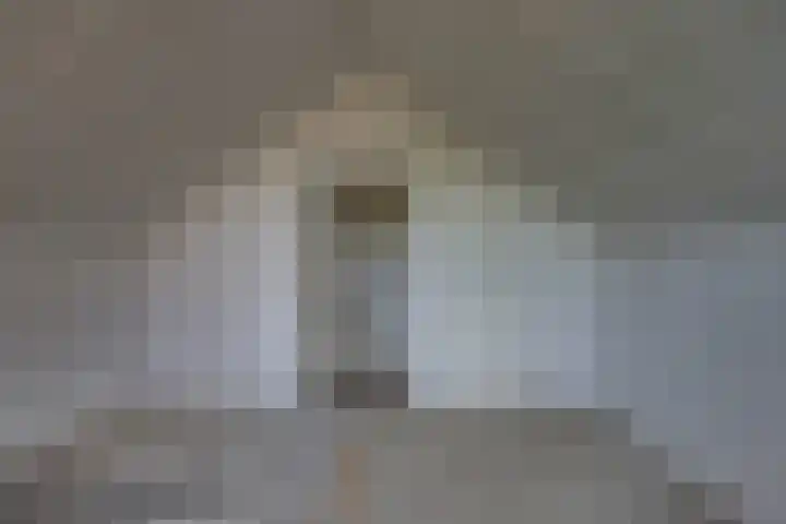 Ratelaar 44 Kampen thumbnail 40
