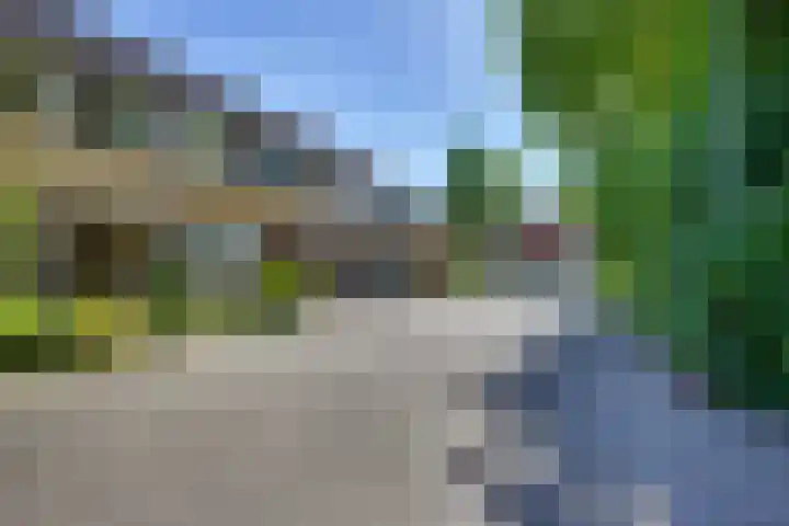 Ratelaar 44 Kampen thumbnail 7