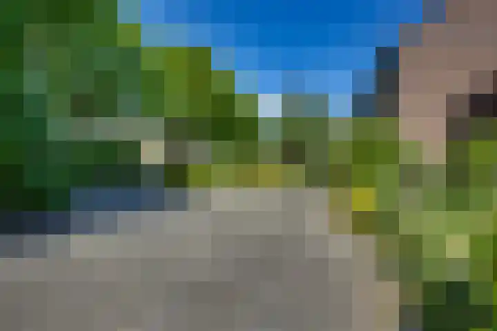Ratelaar 44 Kampen thumbnail 8