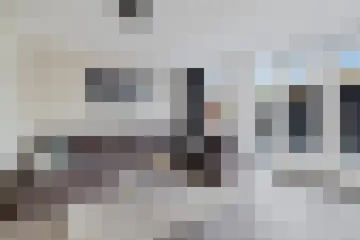 Ratelaar 47 Schoonebeek thumbnail 10