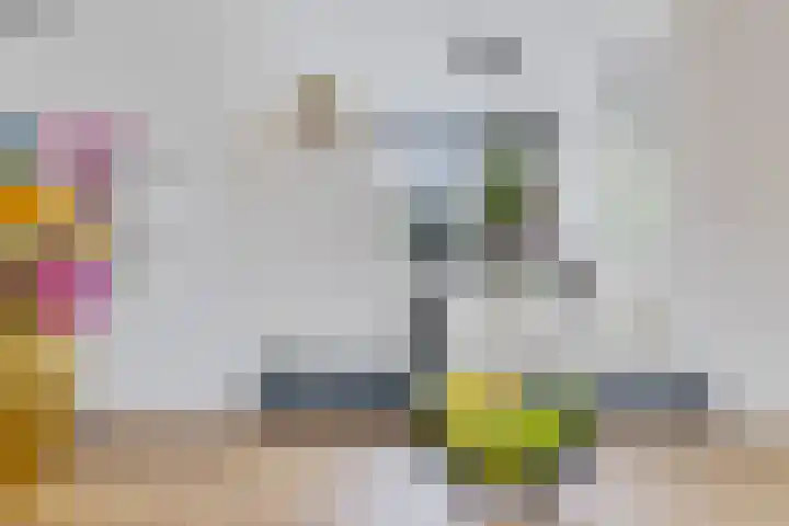 Ratelaar 47 Schoonebeek thumbnail 13