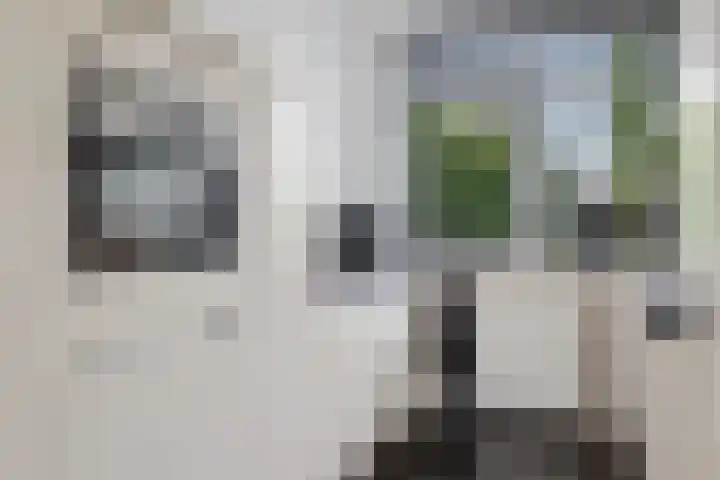 Ratelaar 47 Schoonebeek thumbnail 14