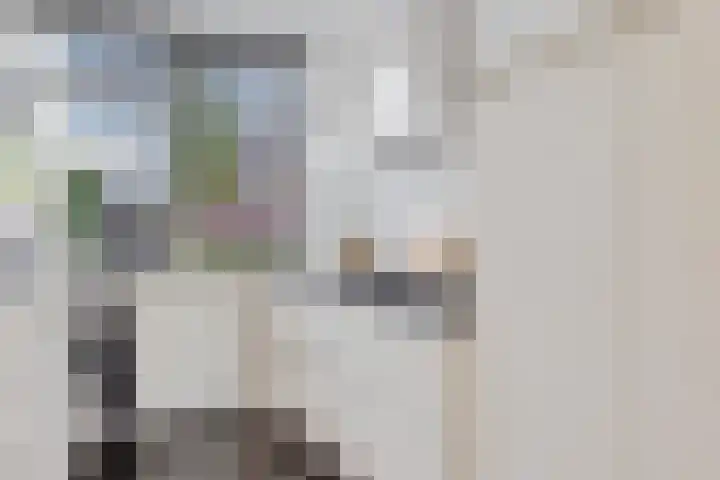 Ratelaar 47 Schoonebeek thumbnail 15