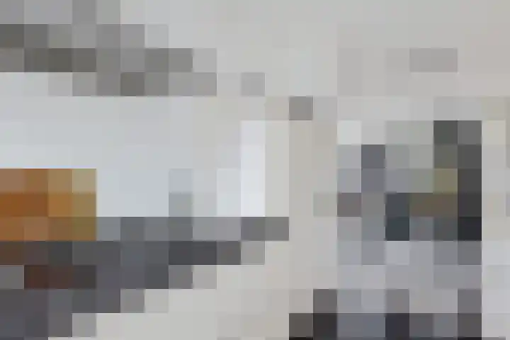 Ratelaar 47 Schoonebeek thumbnail 16