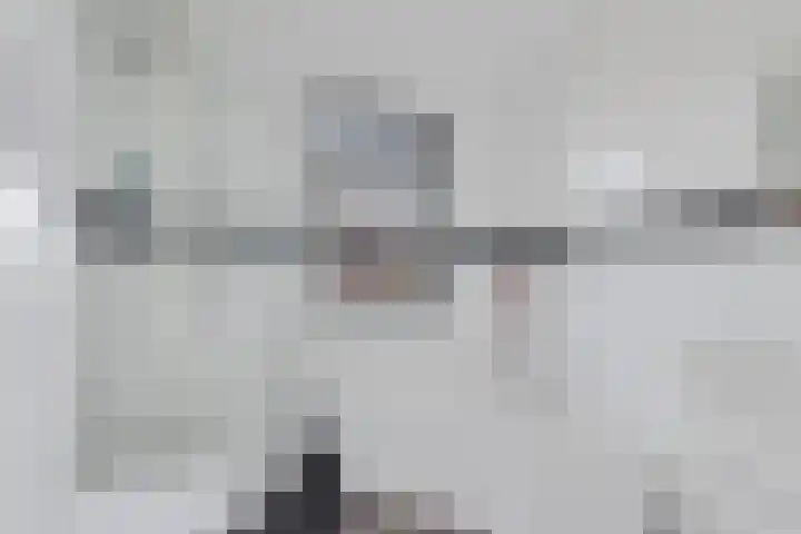 Ratelaar 47 Schoonebeek thumbnail 17