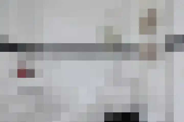 Ratelaar 47 Schoonebeek thumbnail 18