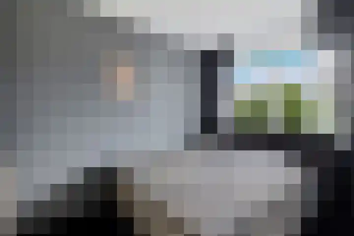 Ratelaar 47 Schoonebeek thumbnail 20