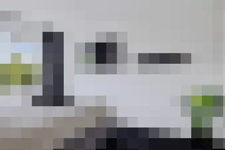 Ratelaar 47 Schoonebeek thumbnail 22