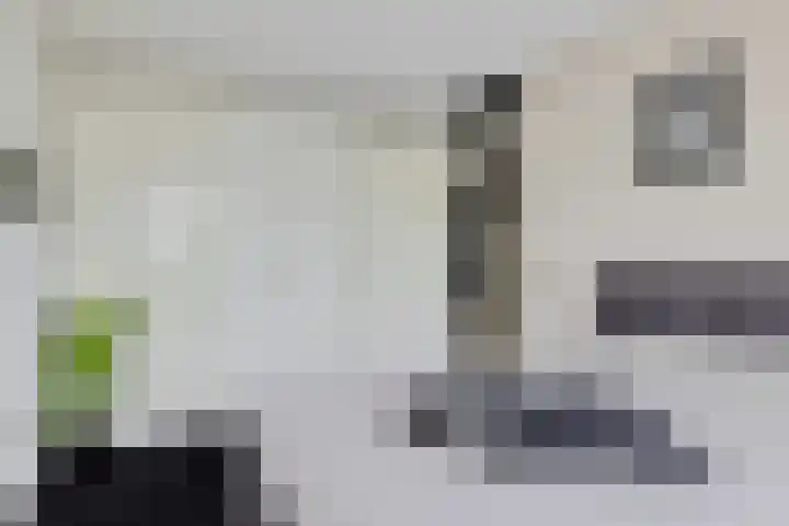 Ratelaar 47 Schoonebeek thumbnail 23