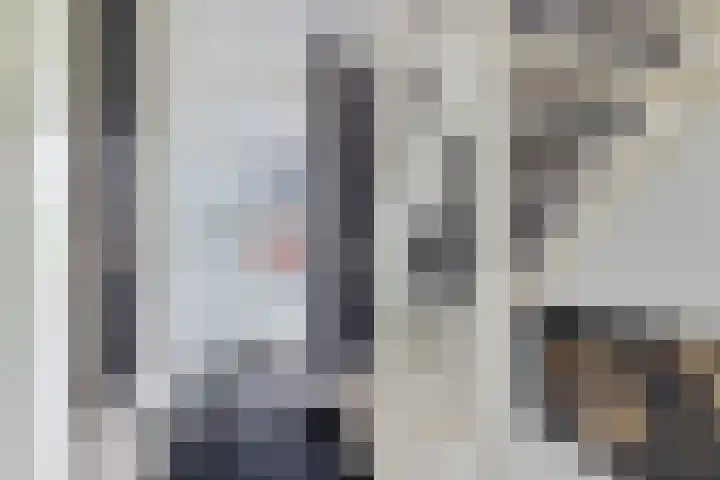 Ratelaar 47 Schoonebeek thumbnail 25