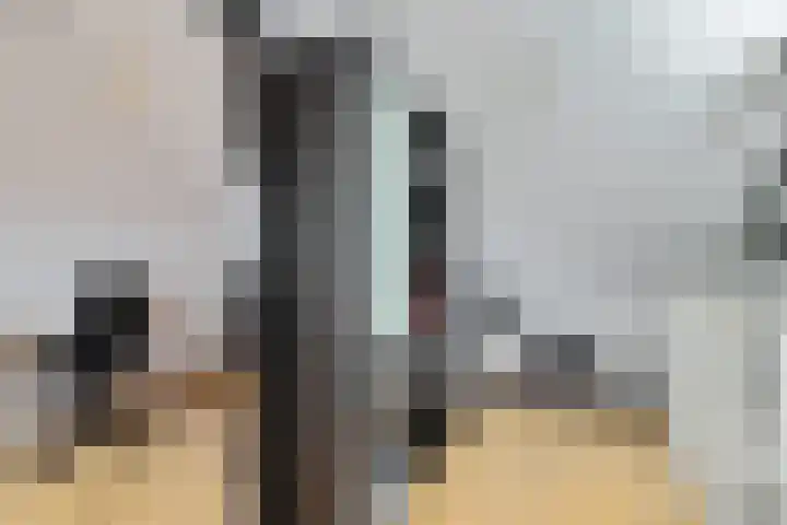 Ratelaar 47 Schoonebeek thumbnail 26
