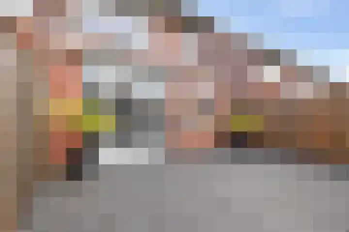 Ratelaar 47 Schoonebeek thumbnail 31