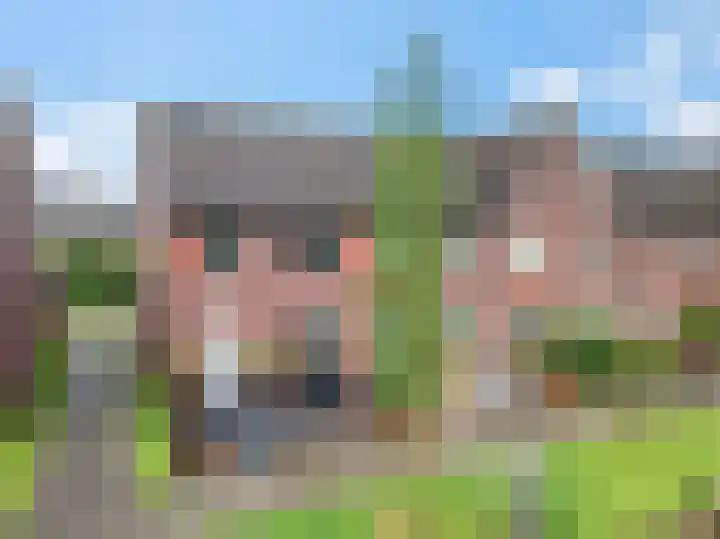 Ratelaar 47 Schoonebeek thumbnail 32