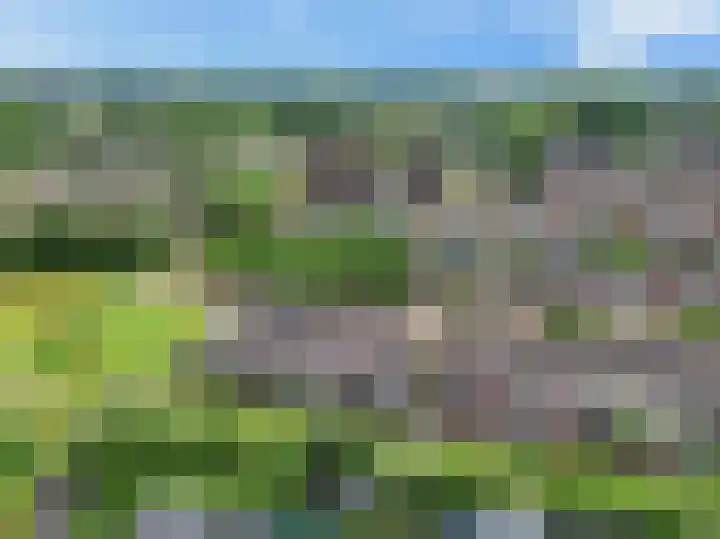 Ratelaar 47 Schoonebeek thumbnail 33