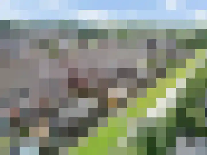 Ratelaar 47 Schoonebeek thumbnail 34