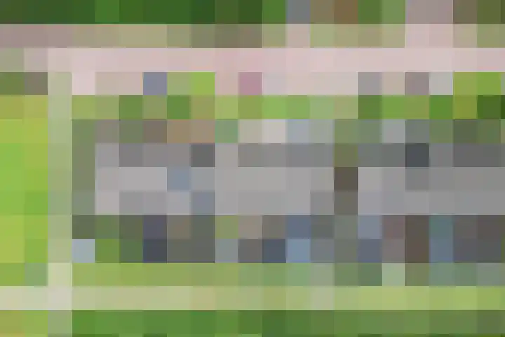 Ratelaar 47 Schoonebeek thumbnail 35