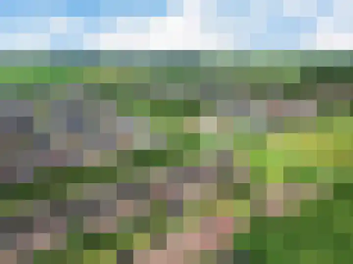 Ratelaar 47 Schoonebeek thumbnail 4