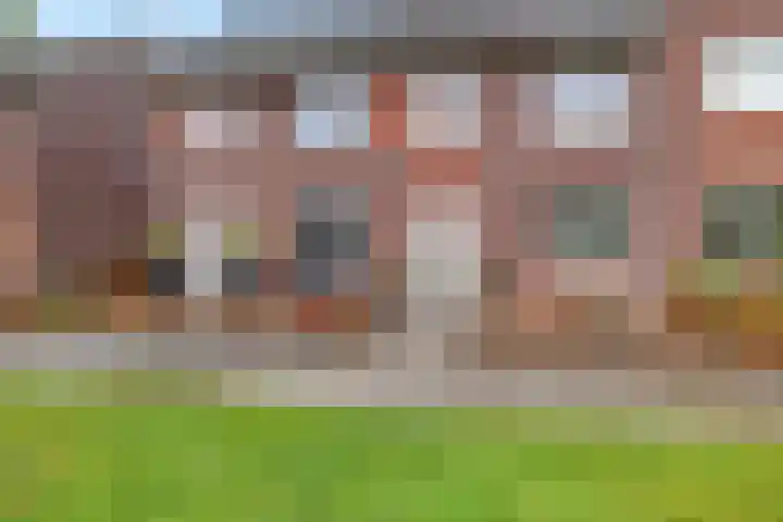 Ratelaar 47 Schoonebeek thumbnail 5