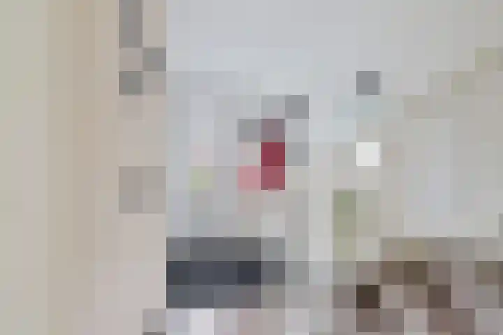 Ratelaar 47 Schoonebeek thumbnail 7