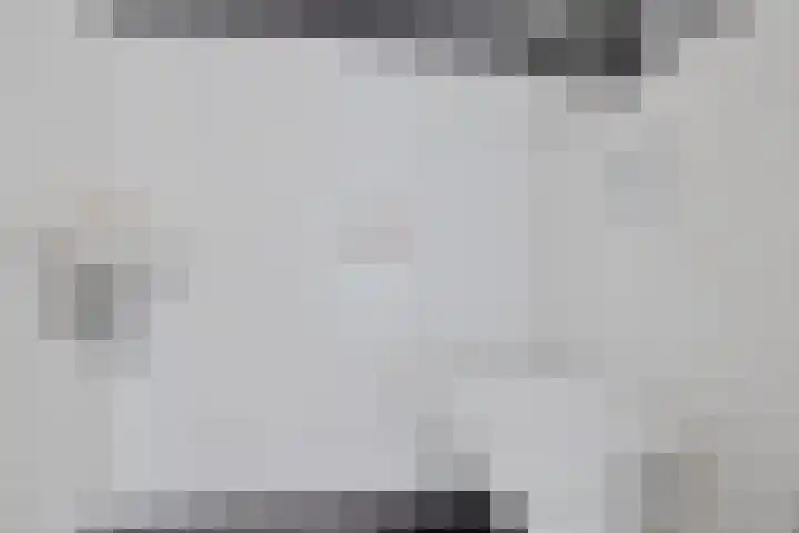Ratelaar 47 Schoonebeek thumbnail 8