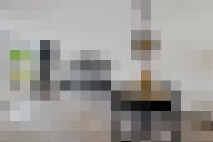 Ratelaar 47 Schoonebeek thumbnail 9
