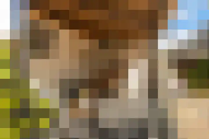 Ratelaar 48 Krimpen aan den IJssel thumbnail 12