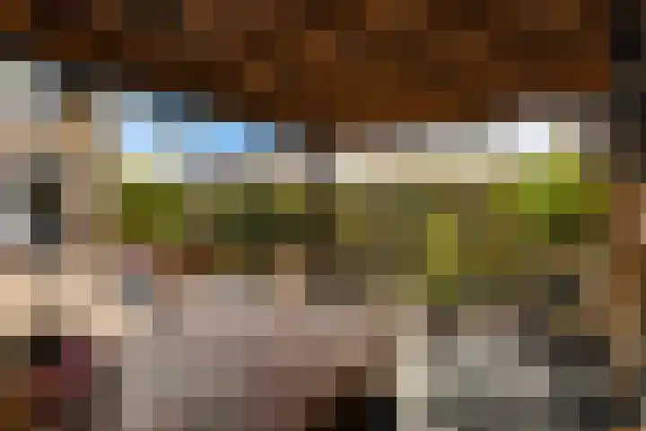 Ratelaar 48 Krimpen aan den IJssel thumbnail 14