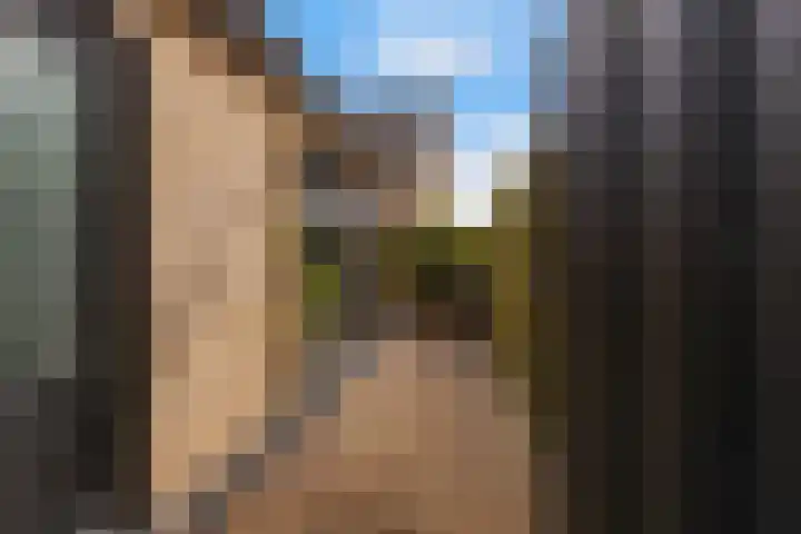 Ratelaar 48 Krimpen aan den IJssel thumbnail 15
