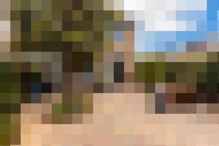 Ratelaar 48 Krimpen aan den IJssel thumbnail 17